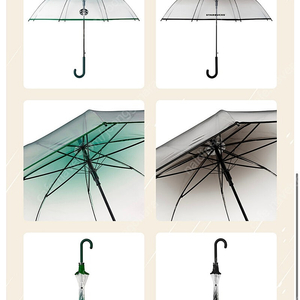 스타벅스 투명우산