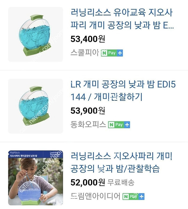 러닝리소스 지오사파리 개미 관찰 이미지