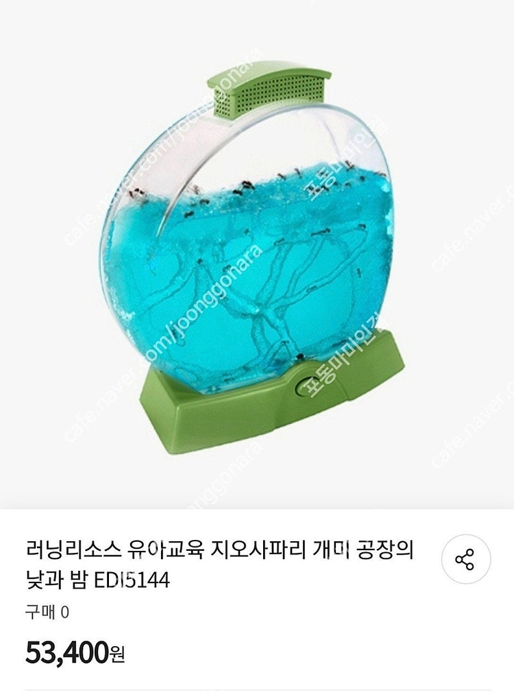 러닝리소스 지오사파리 개미 관찰 이미지