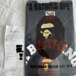 bape 베이프 레아디 M