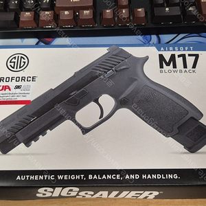 sig m17 bk 팝니다