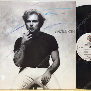 LP ; van morrison 밴 모리슨 엘피 음반 2장 판매 rock