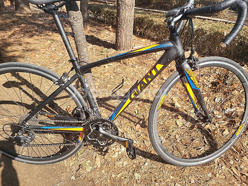 자이언트 scr2--0