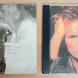 스팅 CD모음 /﻿Sting - The Best Of 25 Years [2CD] /﻿ ...Nada Como El Sol