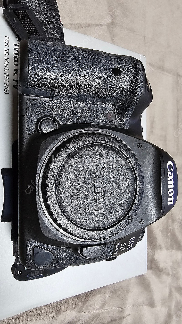 캐논 5d mark4 새아빠 백사투 70-200mm 1...--0