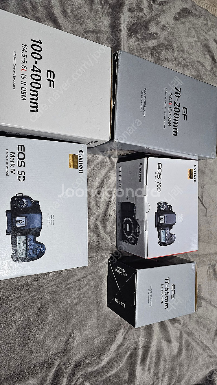 캐논 5d mark4 새아빠 백사투 70-200mm 1...--2