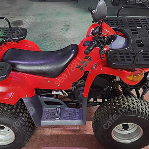 ATV 올코트 100cc