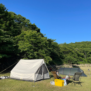 애플뮤직 가족계정 (미국)