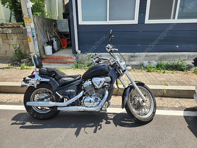 스티드600(판매완료) 이미지