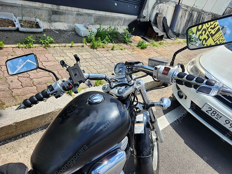 스티드600(판매완료) 이미지