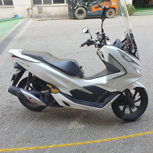 혼다 pcx125 19년식 흰색