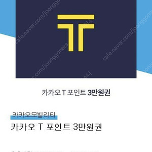 카카오T 포인트 3만원권