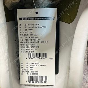 [270] 미즈노 모렐리아 II JAPAN P1GA2002 (스티치)