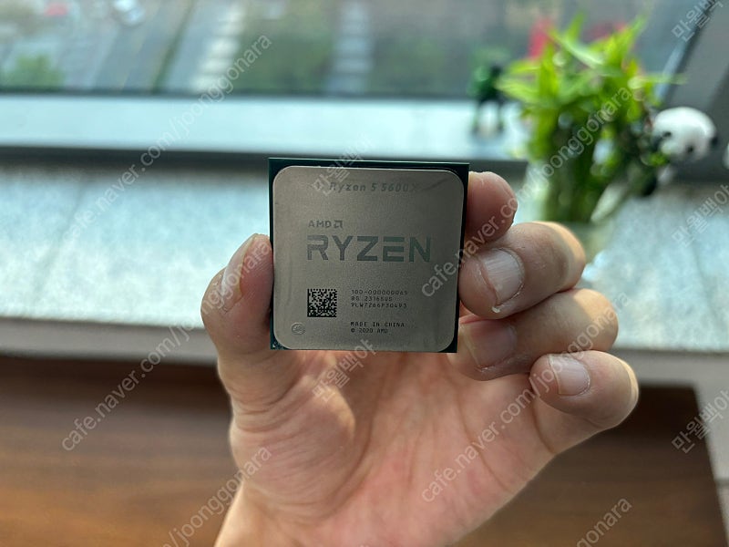 AMD 라이젠 5 5600X