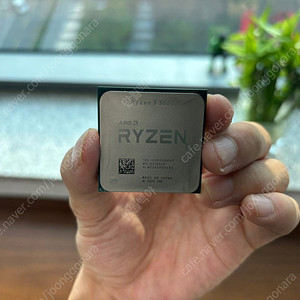 AMD 라이젠 5 5600X