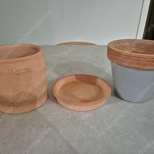 로자리안 토분 판매합니다.(받침포함)