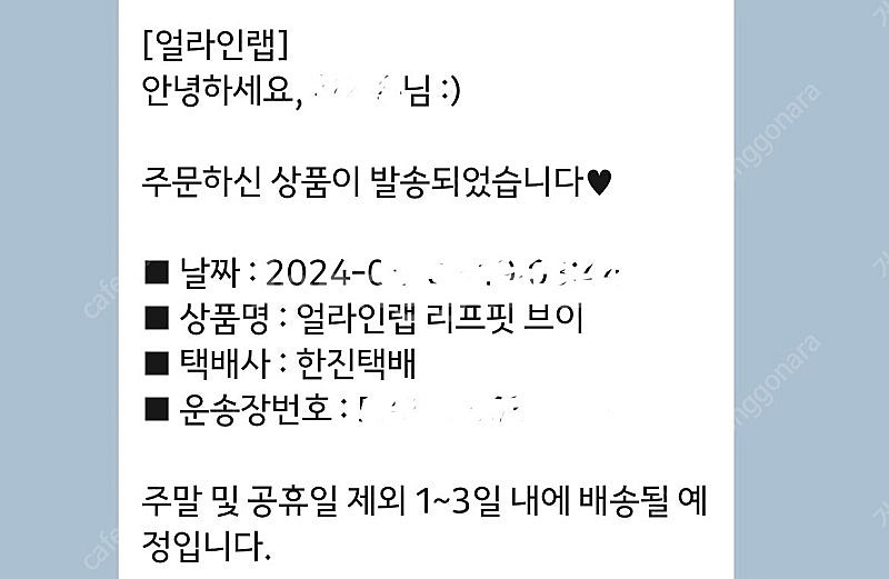 얼라인랩 / 얼라인랩 리프핏 브이 미개봉 새제품 판매합...--3