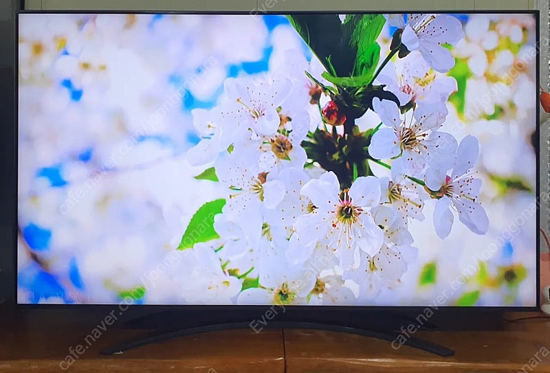 LG 86인치 4K 최상위 최고급 프리미엄 SUPER UHD Nano cell 디스플레이 돌비애트모스 사운드 SMART TV 86SM9070PUA