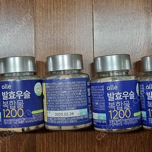 alle 발효우슬