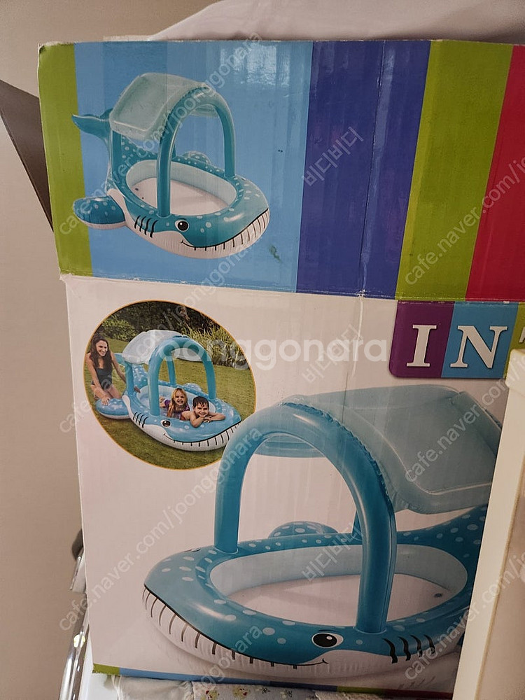 인텍스 돌고래지붕풀장--0
