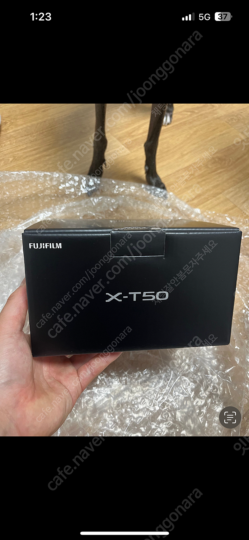 후지 x-t50 실버 미개봉 판매