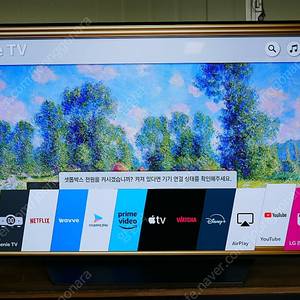 엘지 55인치 티비 올레드 TV LG OLED55B8BNA 샤오미 미스틱 4K