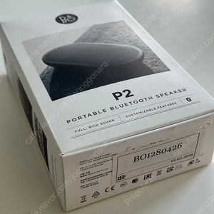 B&O 베오플레이 P2