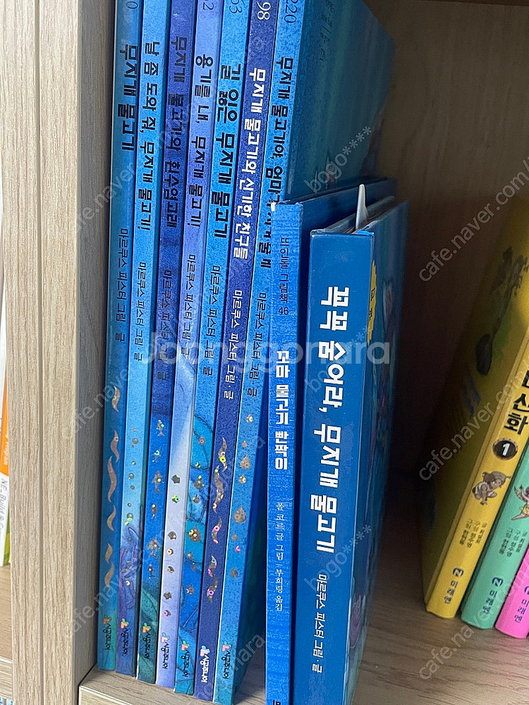 무지개 물고기--0