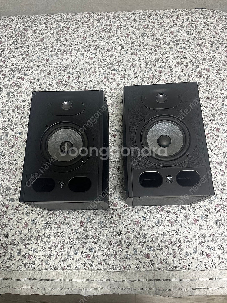 포칼 알파50, FOCAL Alpha50 액티브 스피커...--0