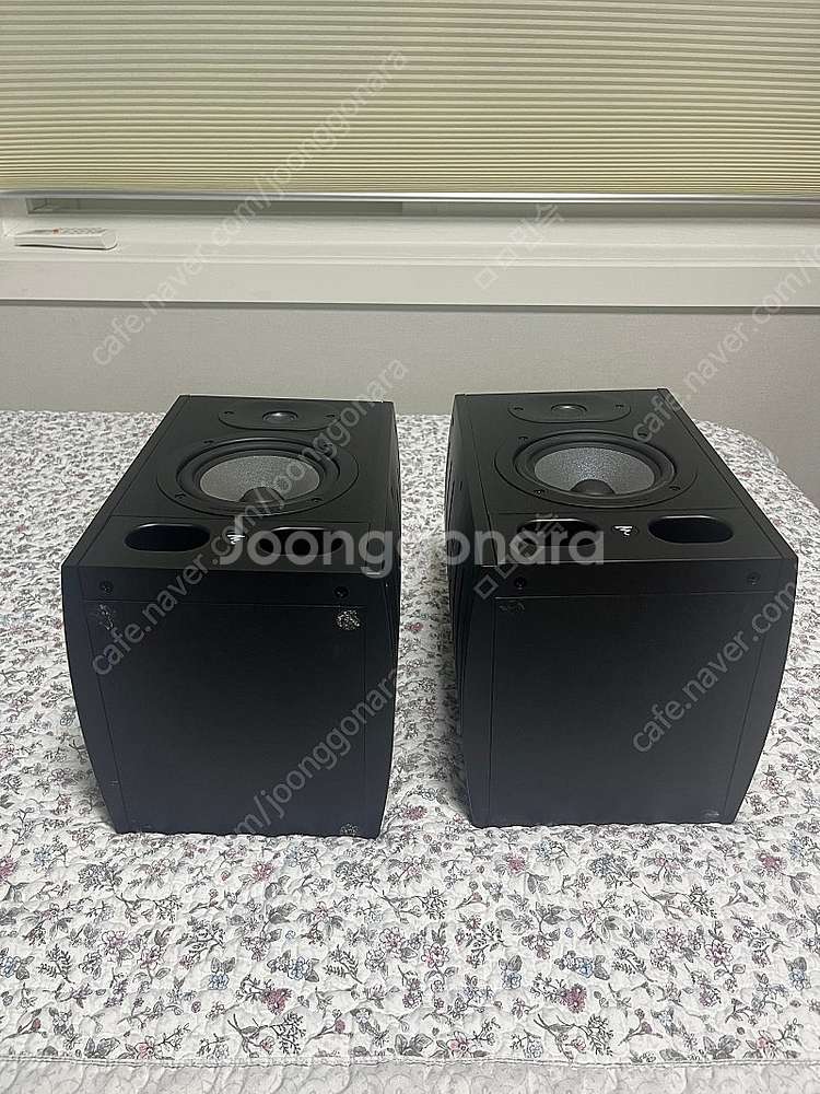 포칼 알파50, FOCAL Alpha50 액티브 스피커...--1