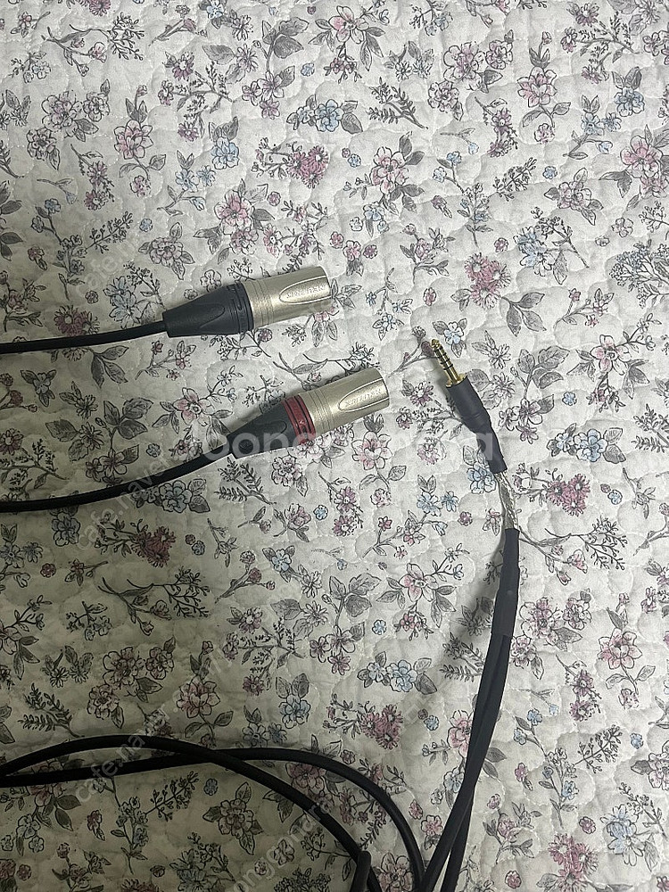 포칼 알파50, FOCAL Alpha50 액티브 스피커...--5