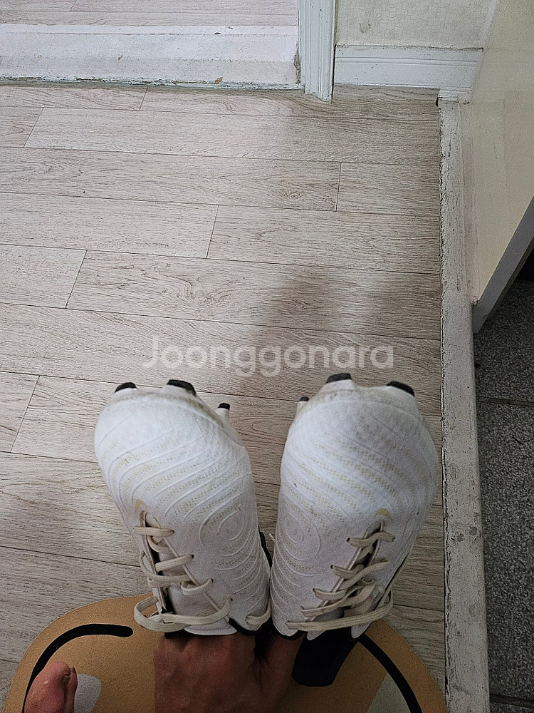 축구화270--9