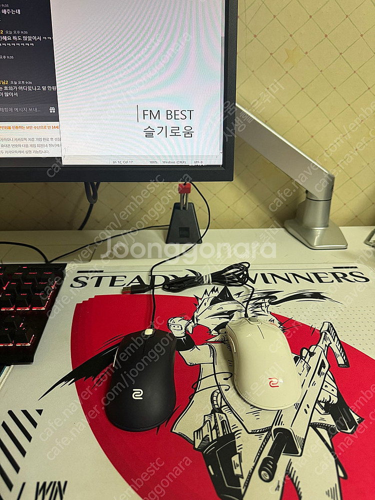 Gsr gris 스테디 위너스 엑스레이 오리진 케르베로...--1
