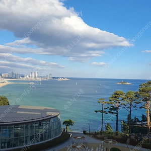 8월6일,7일 성수기 롯데속초리조트 23평 콘도 숙박권 양도합니다.