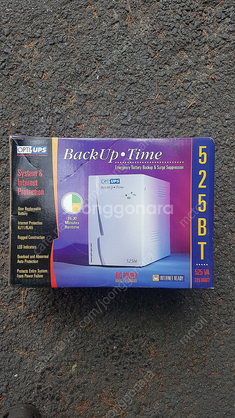 Ups 300w--6