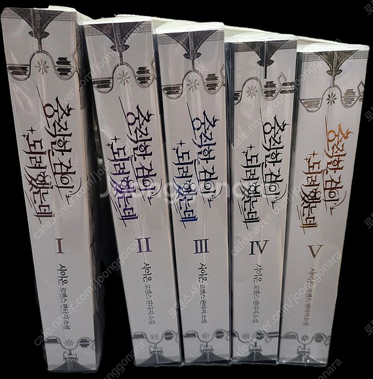 로맨스소설 랩핑 팝니다--3