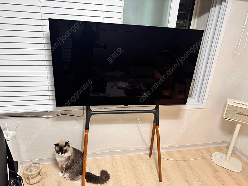 LG 55인치 스마트 TV OLED55B2KNA (거치대 포함)
