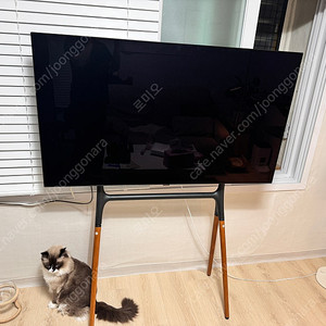 LG 55인치 스마트 TV OLED55B2KNA (거치대 포함)