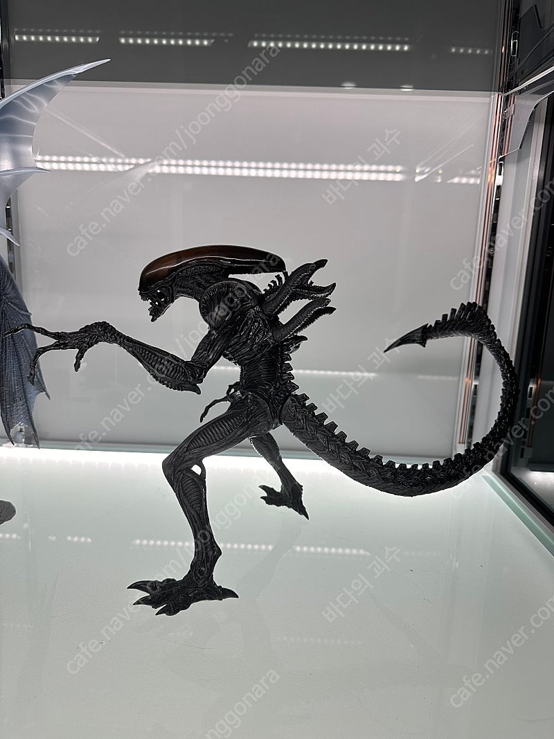 엑스플러스 기간틱 신고질라 클리어 레드 | 중고나라 - 안심되는 중고거래