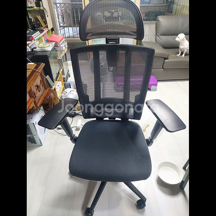 듀오백 개조 브틀라스 (브라보 200C + 아틀라스 헤...--0