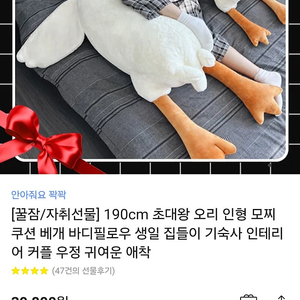 대형오리필로우