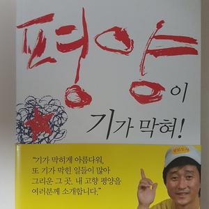 평양이 기가 막혀, 아 대한민국