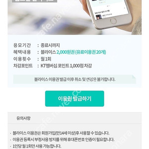 웹소설 블라이스 이용권 2000원권 팜