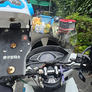 혼다 pcx 125 19년식