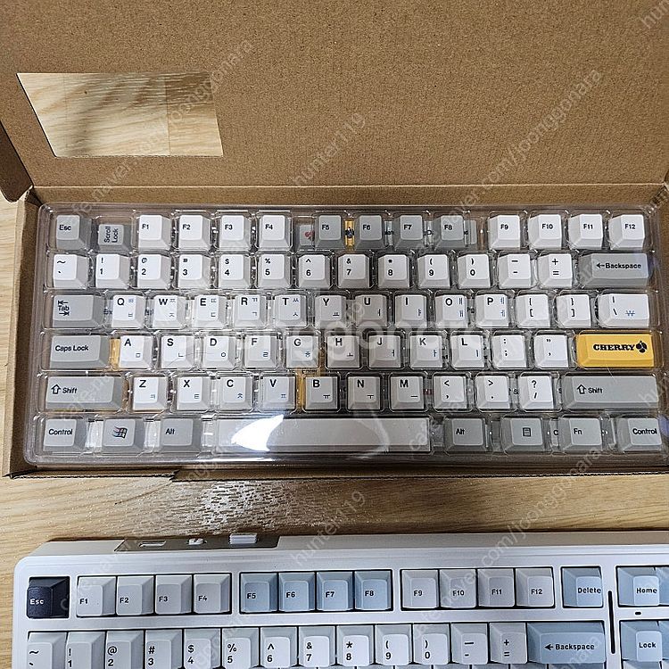 F99 독거미(경해축)키보드+ 체리 한글 키캡 판매합니다--1