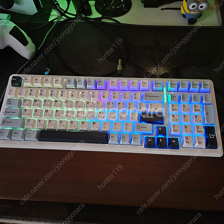 F99 독거미(경해축)키보드+ 체리 한글 키캡 판매합니다--4