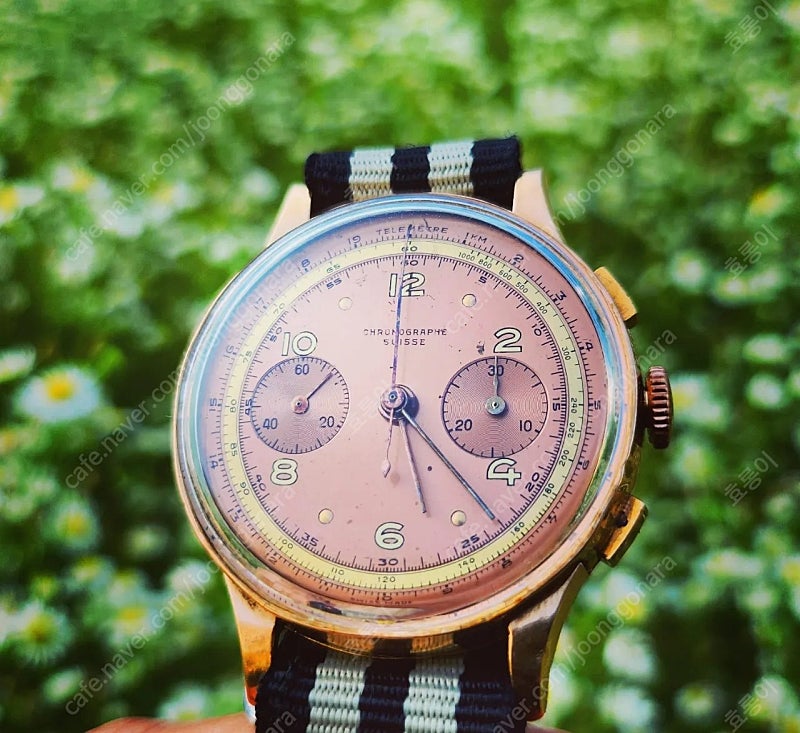 가격내림)빈티지 금통 크로노그래프 스위스 시계 chronographe suisse 판매합니다.