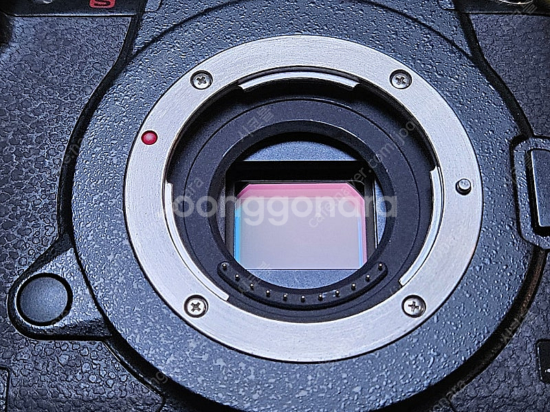 [가격인하] gh5s +케이지 + 세로그립 + 더미배터리--4