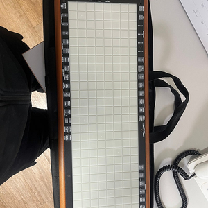 MPE 린스트루먼트 linnstrument