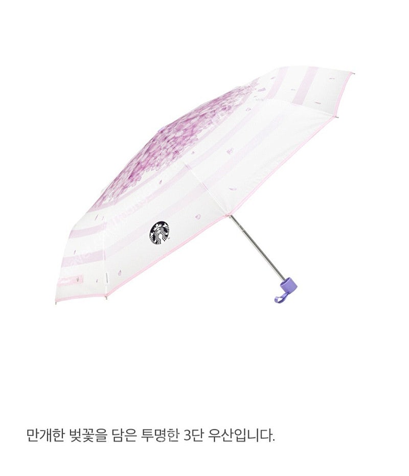 스타벅스 블라썸 시크릿가든3단우산